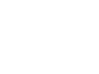 Lost Society Logo_White