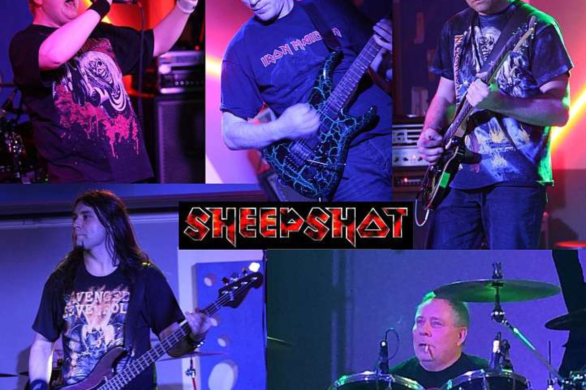 sheepshot